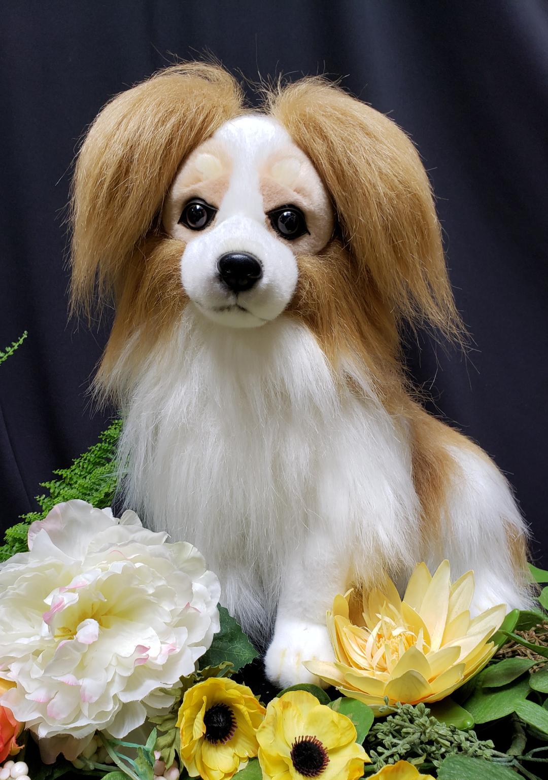 PAPILLION PUP
